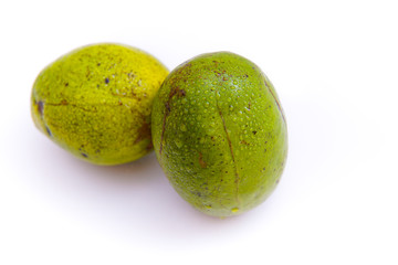 fresh green amberella fruit, isolated on a white background and copyspace, scientific name: Spondias dulcis