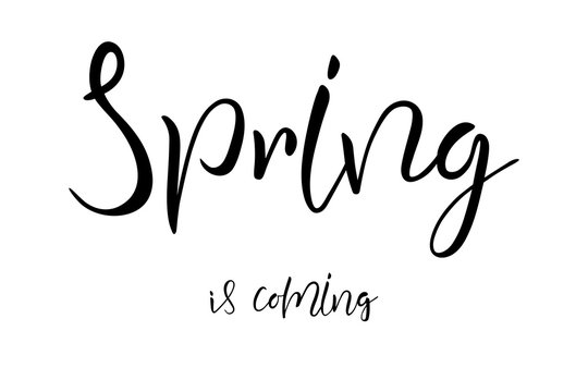 Spring is coming lettering hand typography text