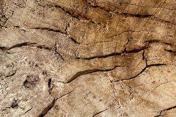 Old Weathered Brownish Wood Texture