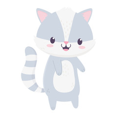 cute raccoon animal cartoon isolated icon