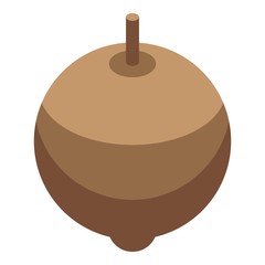 Whole longan icon. Isometric of whole longan vector icon for web design isolated on white background