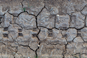 Texture of Embossed Tyre Track in Dry Soil
