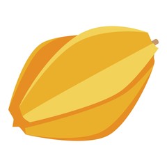 Fresh carambola icon. Isometric of fresh carambola vector icon for web design isolated on white background