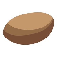 Apricot seed icon. Isometric of apricot seed vector icon for web design isolated on white background