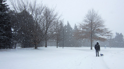 Mature health man walking dog in winter, outside, healthy lifestyle.