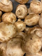 fresh mushrooms in a basket