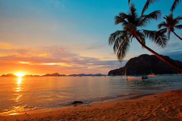 Beautiful palm tree sunset Asia 