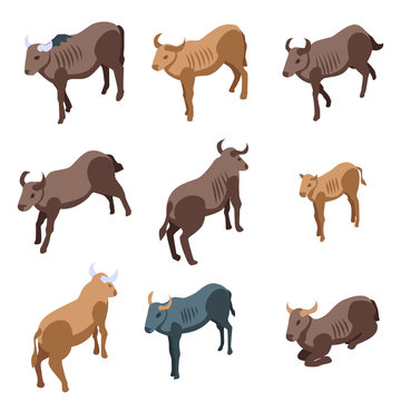 Wildebeest icons set. Isometric set of wildebeest vector icons for web design isolated on white background