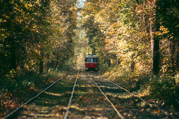 Old red tram in the autumn forest