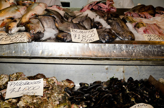 Stall of fishes and shellfishes at the central market.