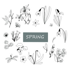 spring set with wildflowers black and white