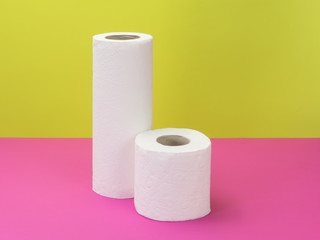 Paper towel and toilet paper on a bright background.