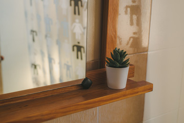 Pequeño cactus en el baño y un espejo reflejando la cortina de ducha