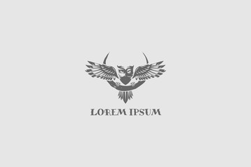 Fototapeta na wymiar simple and modern owl bird vector logo template