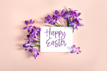 Card with text Happy Easter. Creative layout made with spring crocus flowers on pink background. Flat lay. Spring minimal concept.