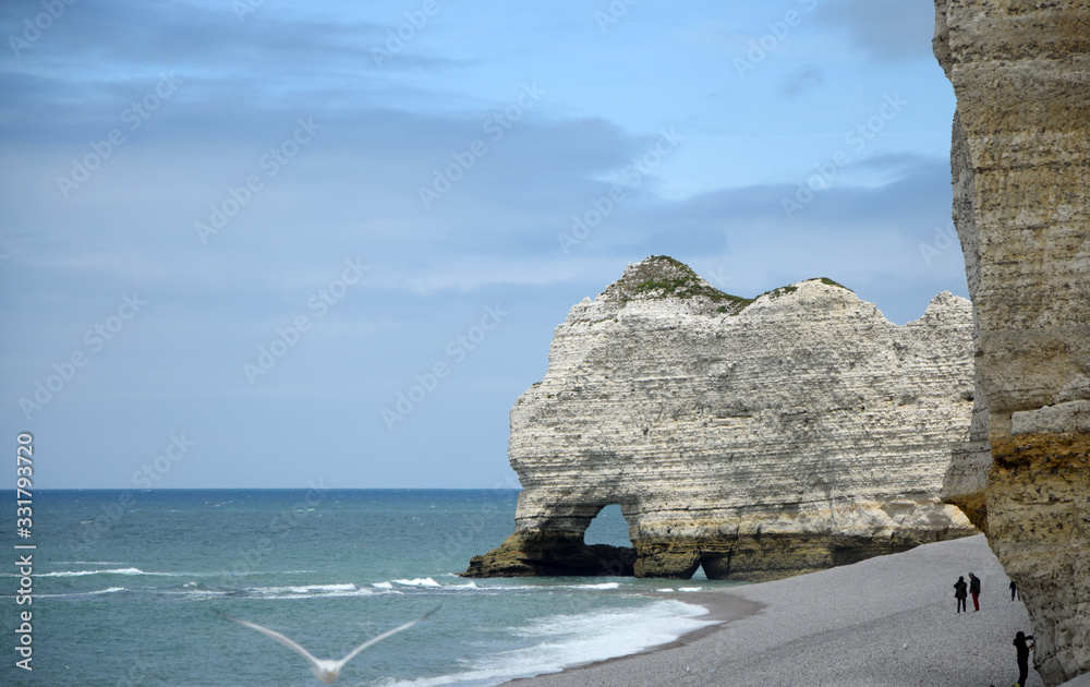 Poster Kreideküste bei Etretat