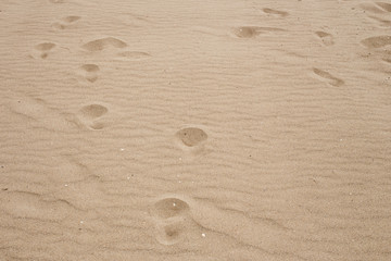 Fototapeta na wymiar Clean sand on the beach at sea during the day