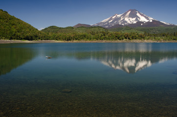 Llaima volcano reflected on the Conguillio lake.