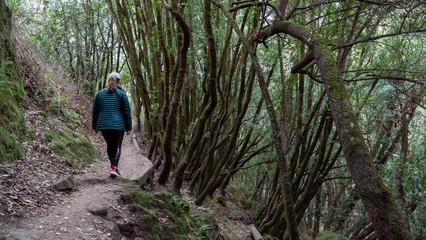 Obraz premium Hiker Exploring Wooded Trail 