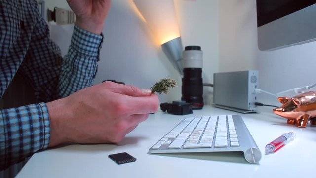 A man at the table examines a cannabis bud. Shows her in the camera. The concept of medical marijuana.