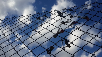 birds on wires ,sky and birds 