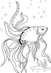 Fish Coloring Pages Adults
