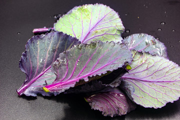 red  purple cabbage leaves with water drops
