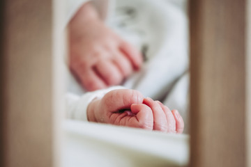 Petite main d'un tout jeune nourrisson