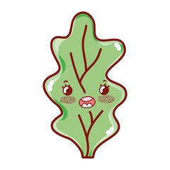 kawaii lettuce fresh vegetable cartoon isoalted icon