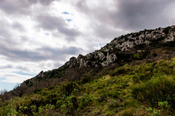 A cliff mountain range illuminated by warm sunlight with the tall grass and other forest plants underneath under the cloudy sky (French Alps)