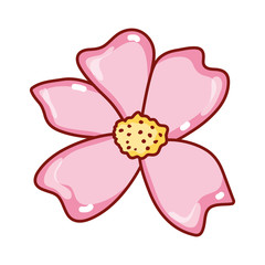 sakura flower decoration japanese symbol isolated icon