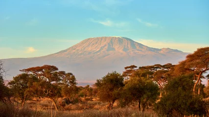 Photo sur Plexiglas Kilimandjaro Sunrise with clear view of Mount Kilimanjaro in the background. Taken near Amboseli national park with Maasai Kenyan guide.