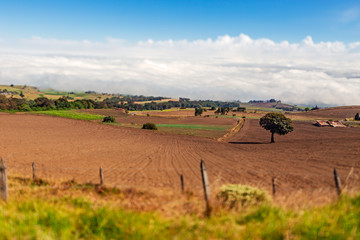 A view of the farmlands in the skirts of the Irazú volcano in Cartago, Costa Rica. Shot with tilt shift lens.
