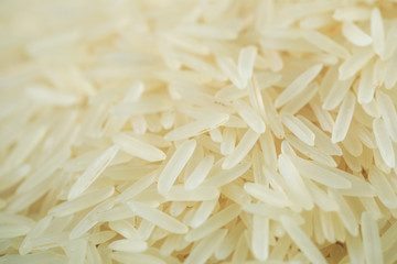 Fresh indian rice in a stock