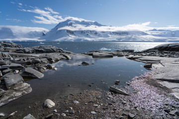 Small pool of meltwater in Antarctica