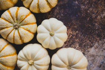 pumpkins on granite closeup