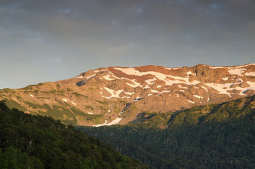 Naklejka premium Mountain range and forest in the Conguillio National Park.