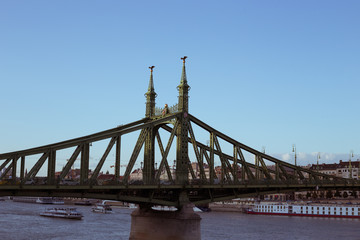 Nineteenth Century Old Metalic Green Freedom European Bridge in Budapest