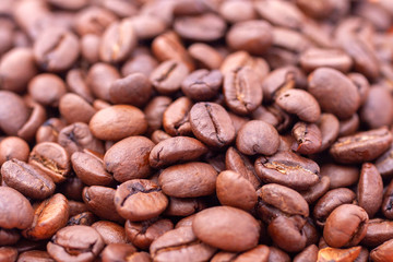 Coffee beans on white background