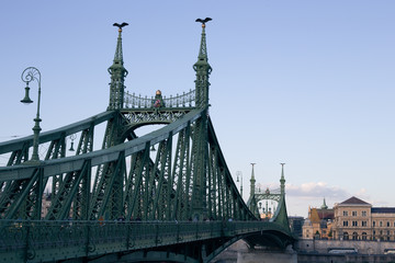 Fototapeta na wymiar Nineteenth Century Old Metalic Green Freedom European Bridge in Budapest