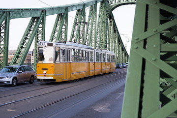 Naklejka na ściany i meble Nineteenth Century Old Metalic Green Freedom European Bridge in Budapest