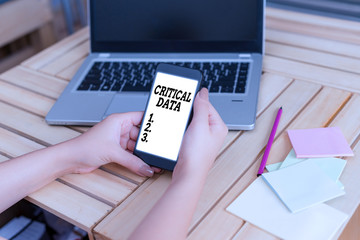 Text sign showing Critical Data. Business photo showcasing elements of business processes and...