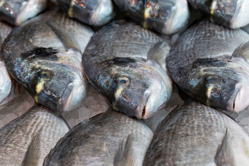 Fresh sea bream on display on a UK fishmongers market stall