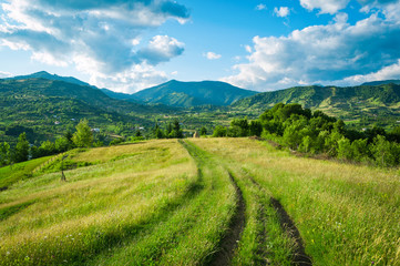 Fototapeta na wymiar A peaceful landscape, green hills in spring time. A country road is cutting through the immaculate grass, illustrating the idea of travel , tourism or exploring