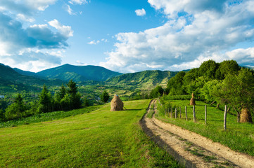 Fototapeta premium A peaceful landscape, green hills in spring time. A country road is cutting through the immaculate grass, illustrating the idea of travel , tourism or exploring