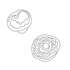 Beautiful mushroom  royal champignons, great design for any purposes. Vegan & vegetarian food. Organic nutrition. Vegan, vegetarian diet. Autumn background. Vector doodle illustration. Isolated white 
