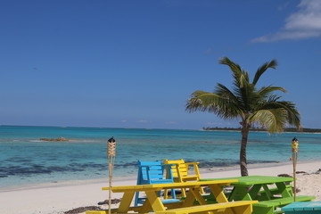 beach with palm trees and chairs