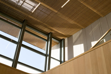 Contemporary wood design from eco materials
