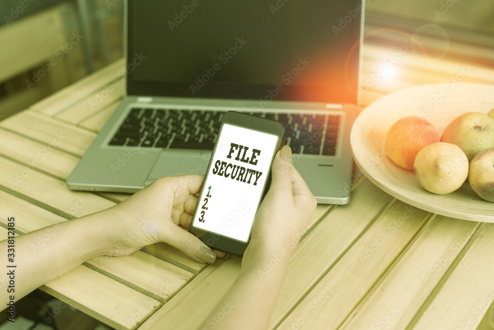 Poster conceptual hand writing showing file security. concept meaning protecting digital data such as those