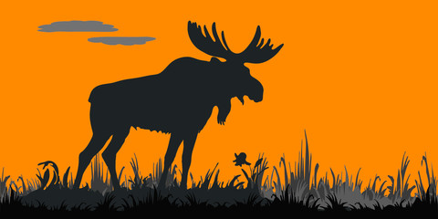 black silhouette of one moose standing in the grass on a white background